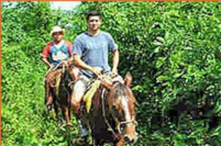  Passeios a cavalo guiados 